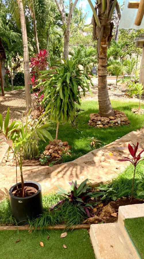 Green Paradise ลีโอนา วิคาริโอ ภายนอก รูปภาพ