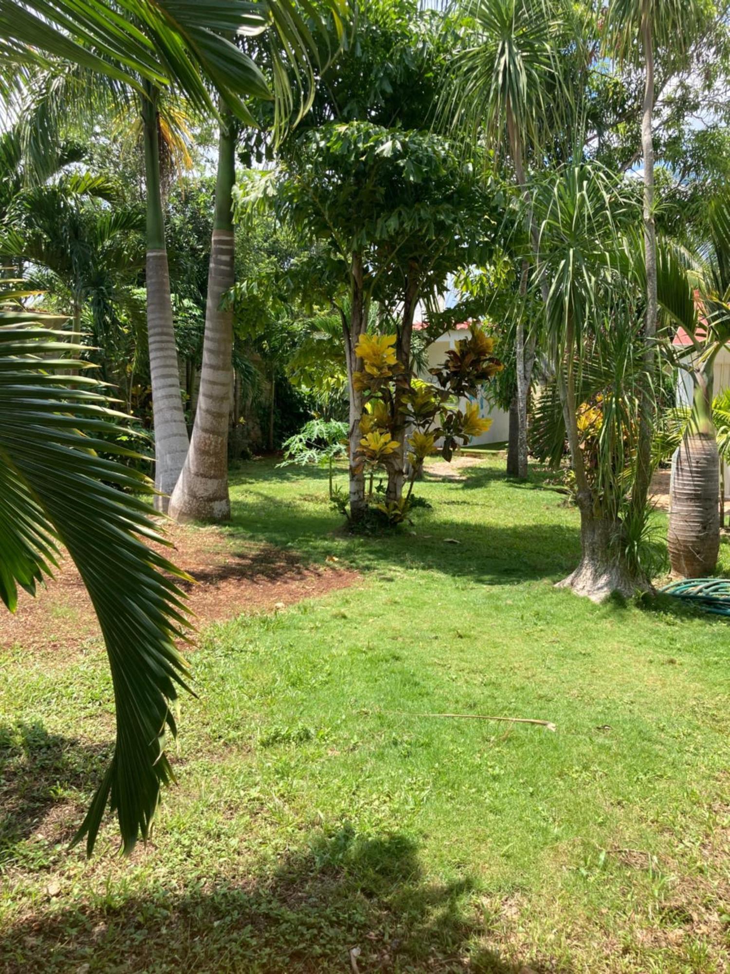 Green Paradise ลีโอนา วิคาริโอ ภายนอก รูปภาพ