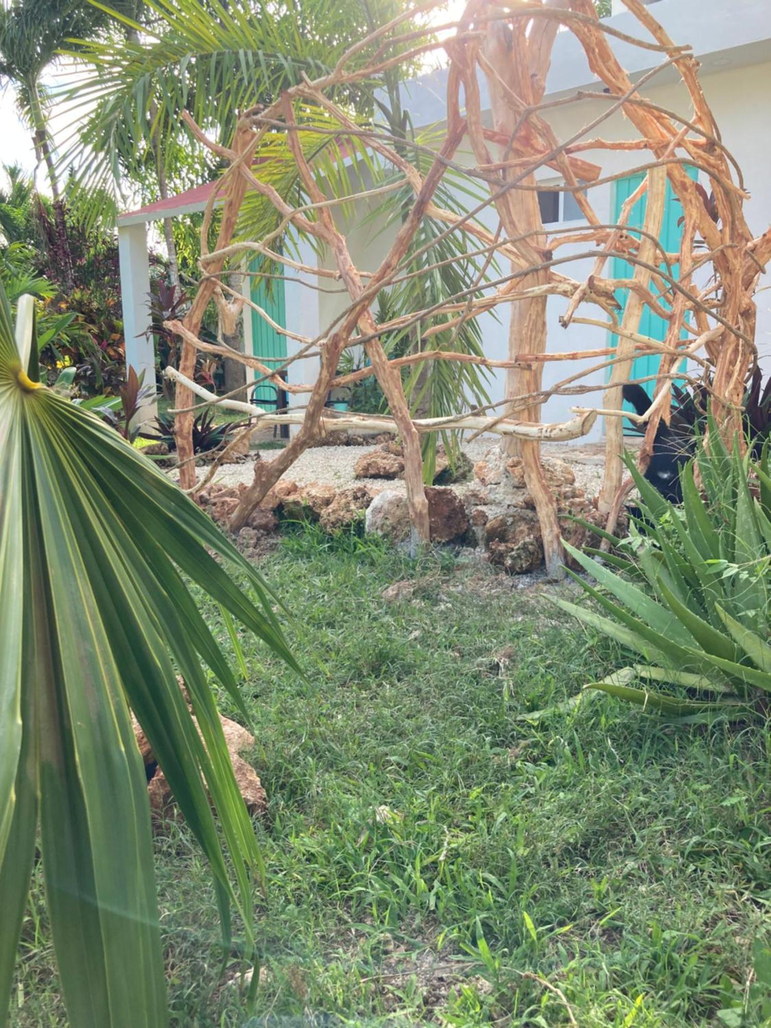 Green Paradise ลีโอนา วิคาริโอ ภายนอก รูปภาพ