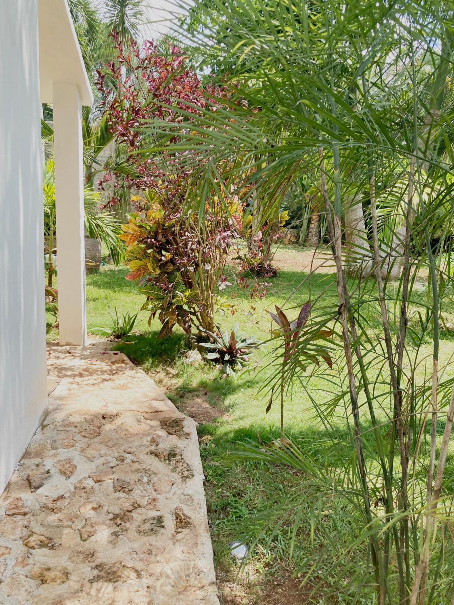 Green Paradise ลีโอนา วิคาริโอ ภายนอก รูปภาพ