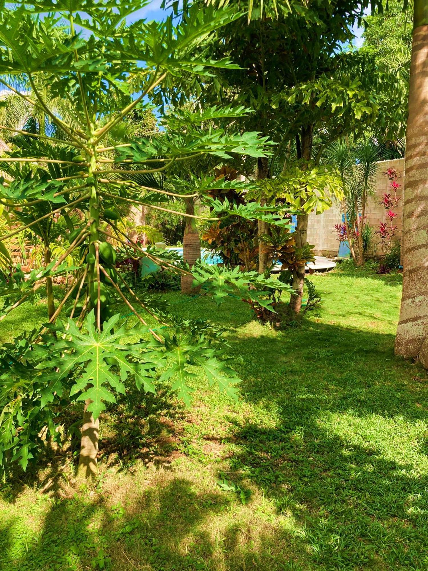 Green Paradise ลีโอนา วิคาริโอ ภายนอก รูปภาพ