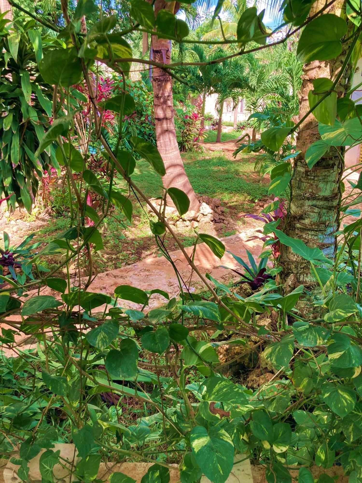 Green Paradise ลีโอนา วิคาริโอ ภายนอก รูปภาพ