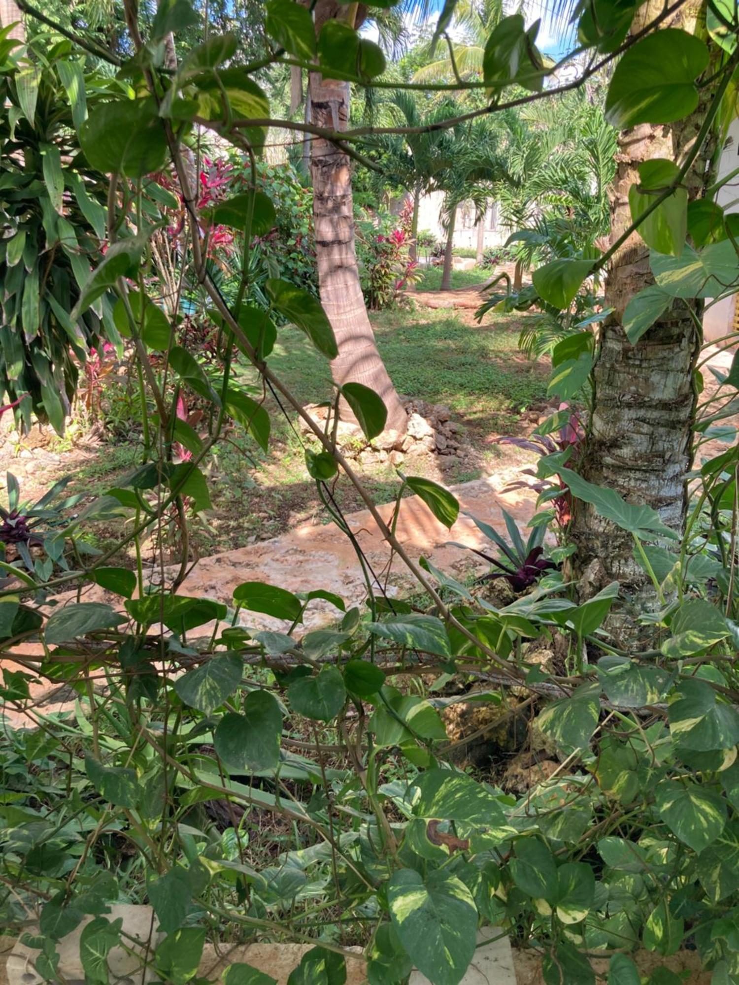 Green Paradise ลีโอนา วิคาริโอ ภายนอก รูปภาพ