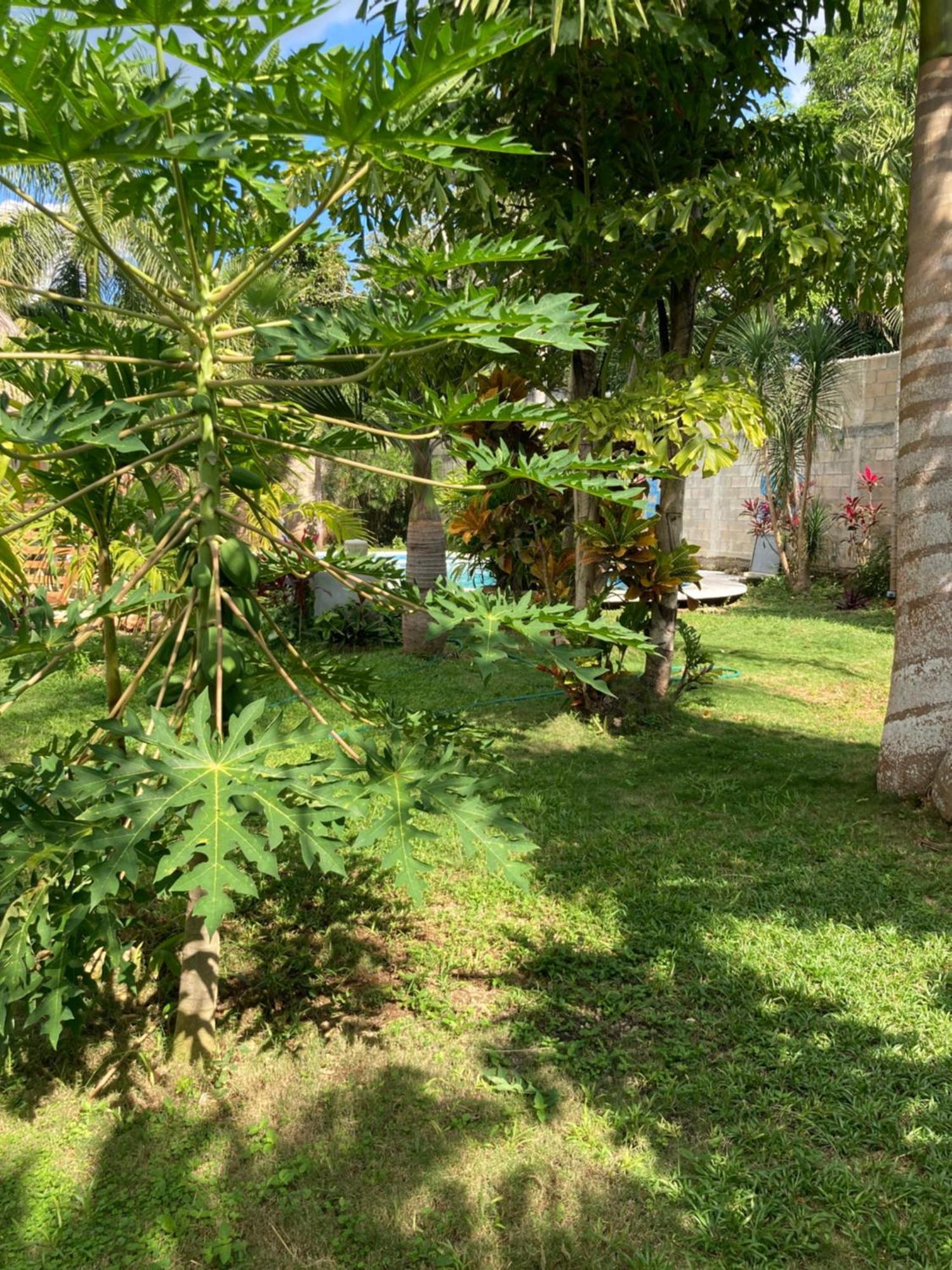 Green Paradise ลีโอนา วิคาริโอ ภายนอก รูปภาพ