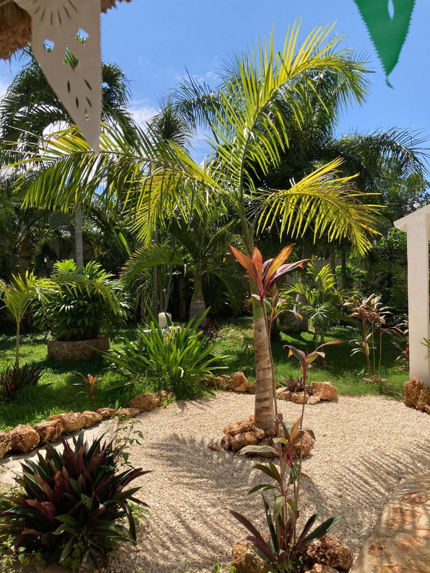Green Paradise ลีโอนา วิคาริโอ ภายนอก รูปภาพ