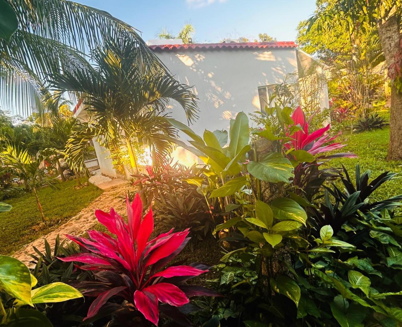 Green Paradise ลีโอนา วิคาริโอ ภายนอก รูปภาพ