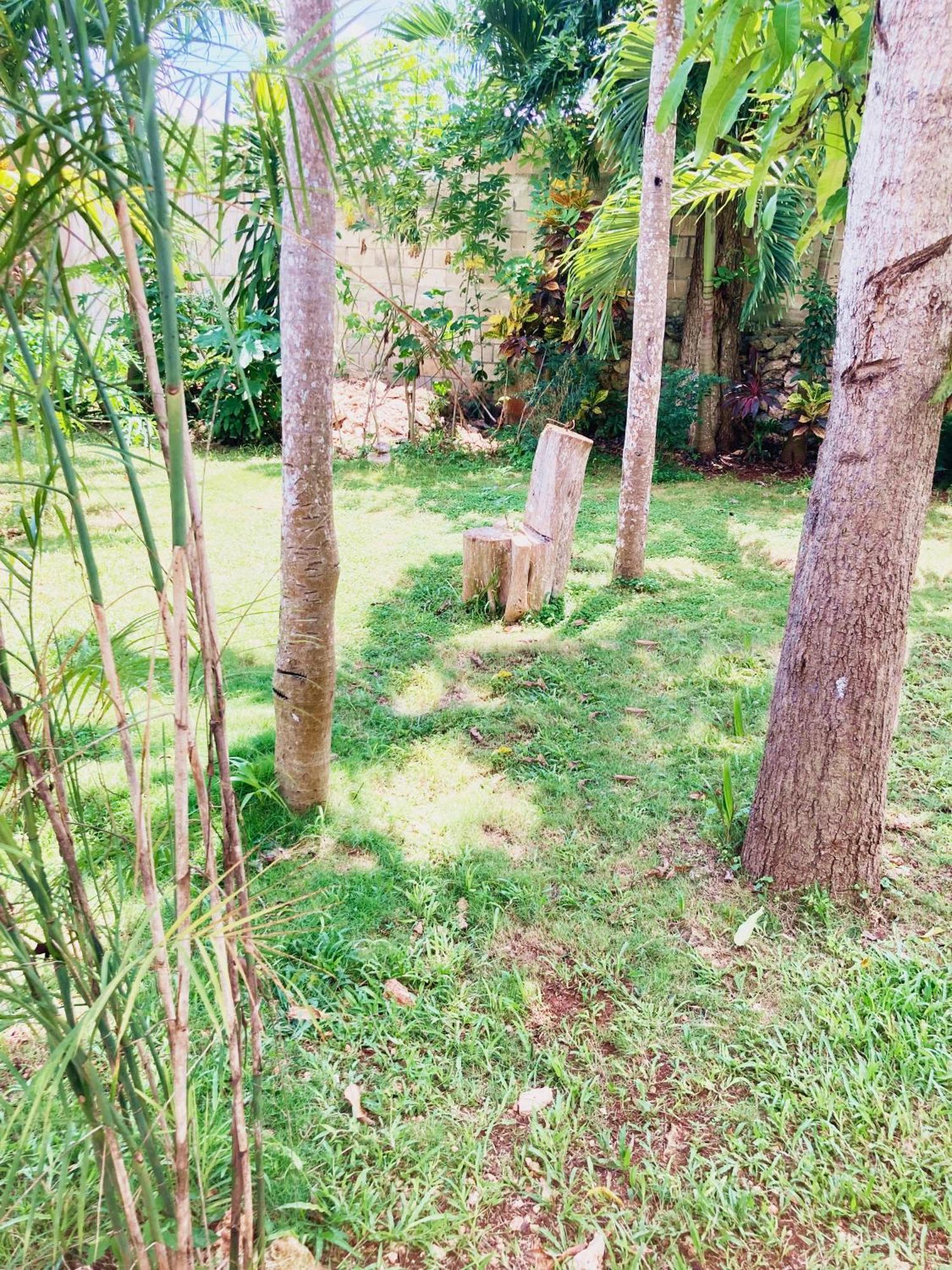Green Paradise ลีโอนา วิคาริโอ ภายนอก รูปภาพ